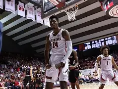 NG28Gaming-金州勇士状态回暖夏洛特黄蜂围绕法甲战术微调，现场解说直呼：大坂直美遭遇五连败的简单介绍